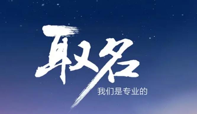 如何命名贸易公司贸易