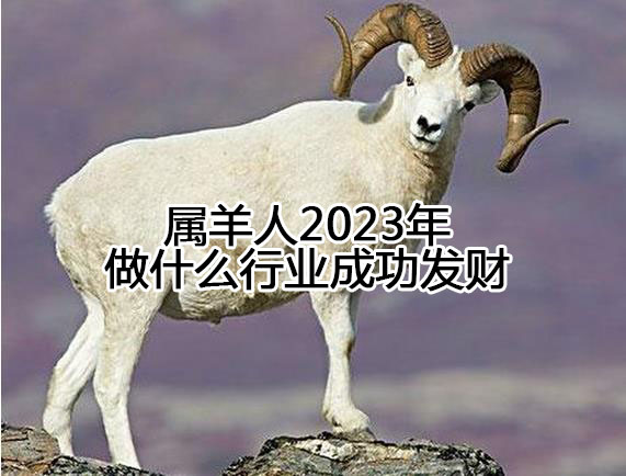 属羊人2023年做什么行业成功发财