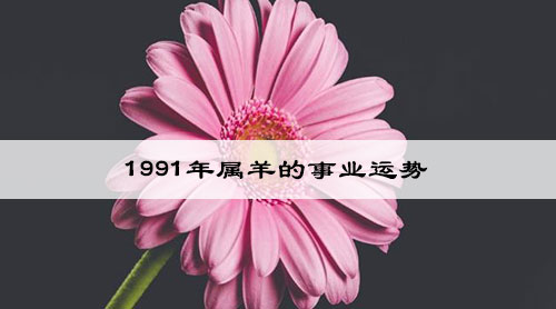 1991年属羊的事业运势