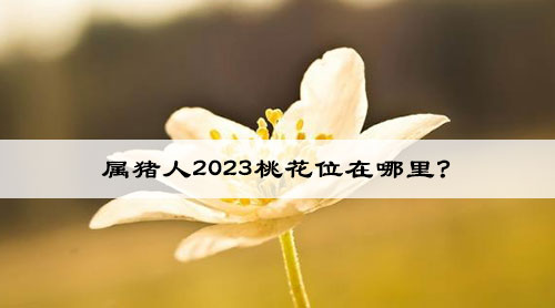 属猪人2023桃花位在哪里?