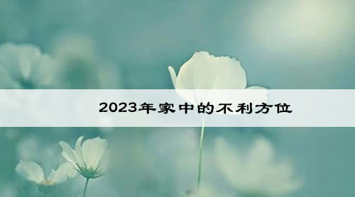 2023年家中的不利方位