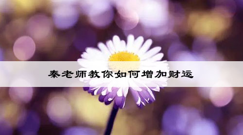 秦老师教你如何增加财运