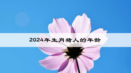 2024年生肖猪人的年龄