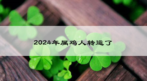 2024年属鸡人转运了