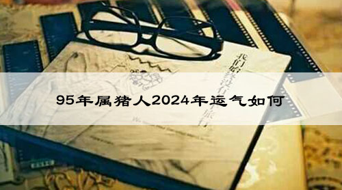 95年属猪人2024年运气如何