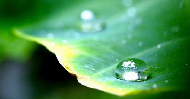 天津风水大师