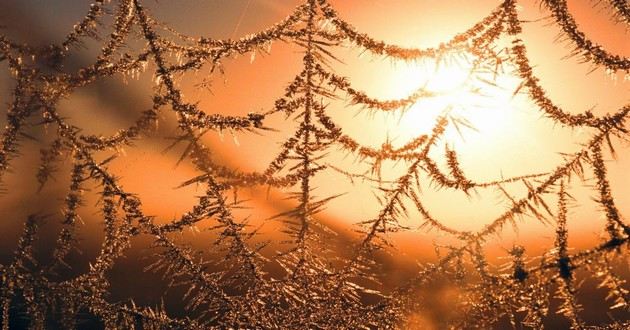 天津风水大师