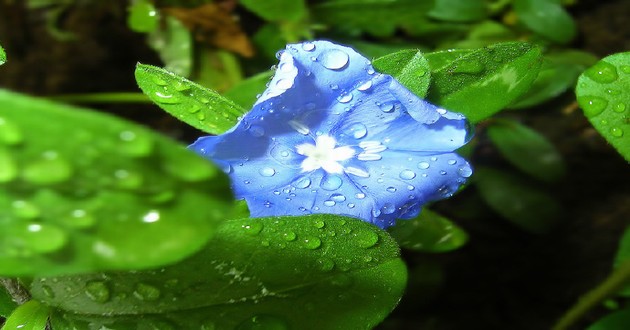 天津风水大师