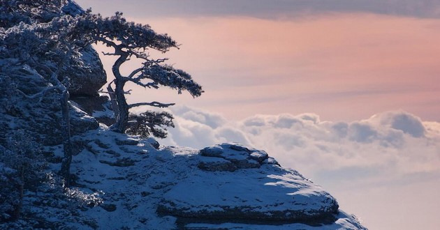 上海风水大师