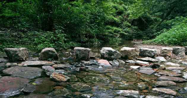 上海风水大师