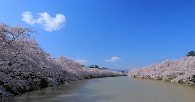 上海风水大师