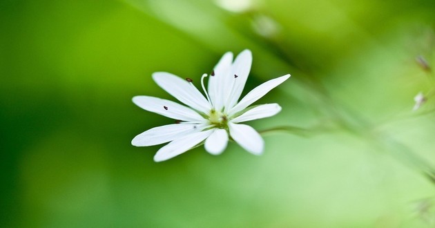 上海风水大师