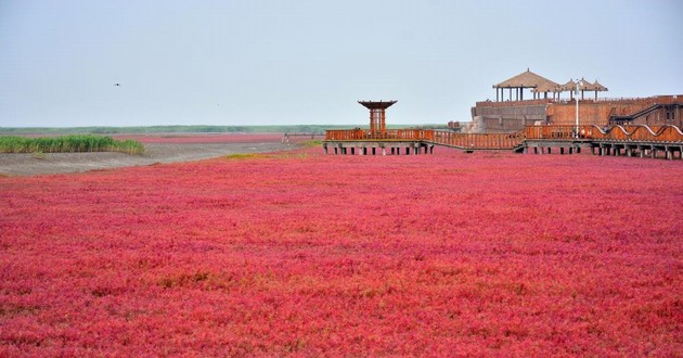 重庆风水大师