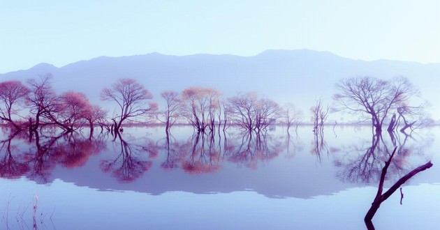 重庆风水大师