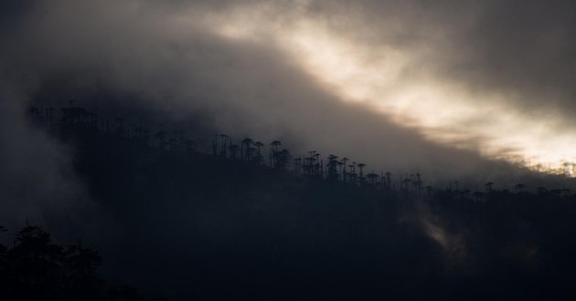 重庆风水大师