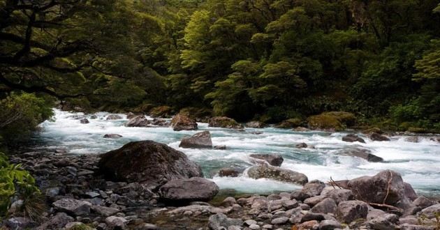 上海风水大师