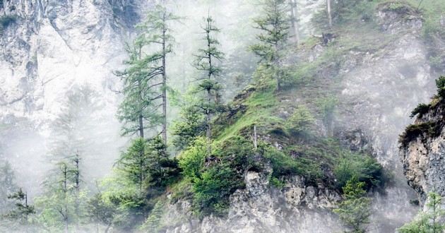 上海风水大师