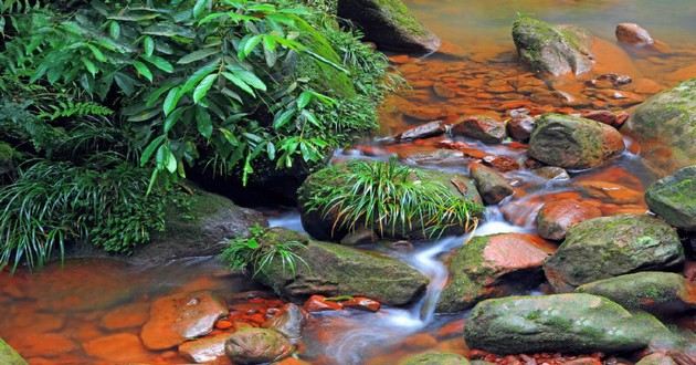 上海风水大师